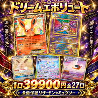 オリパ第56弾　人気ポケモンのみ「ドリームエボリュート」39900円　全27口
