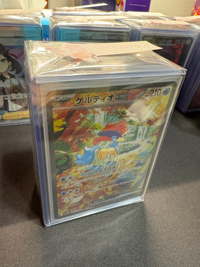 コレクター向け高額アド確定ブロックオリパ17000円　状態A-