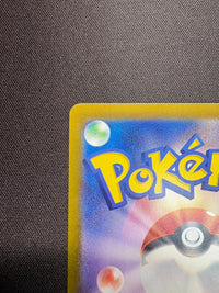 【傷なし保証】リザードンex【SAR】{349/190}