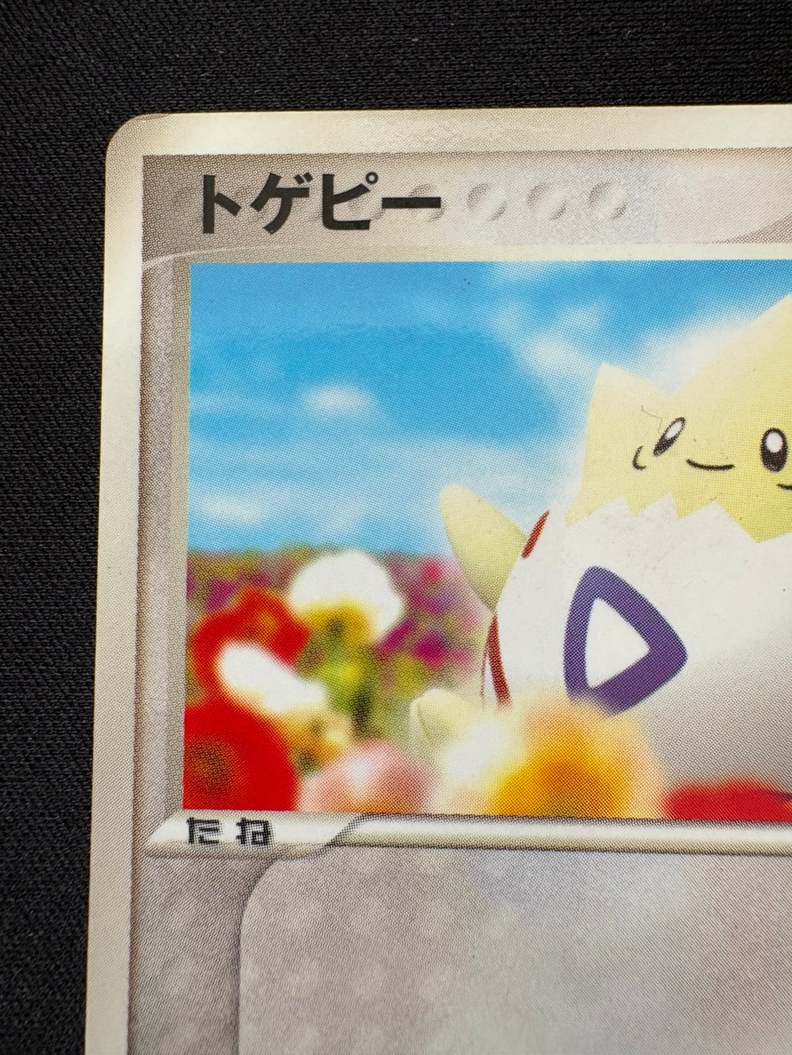 【状態B】トゲピー PROMO 034/PCG-P